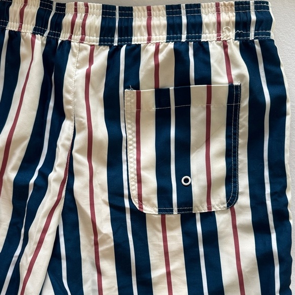 Striped Men's Swim Shorts - Picture 6 of 6